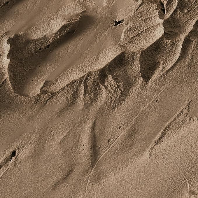 VOLLUCK Hairline Powder Instantly, Root Touch up Powder Hair Color Upgraded, Grey Root Cover up Conceals Hair Loss, Hairline Shadow for Women & Men for Thinning Hair Natural, Sweatproof (Light Brown)