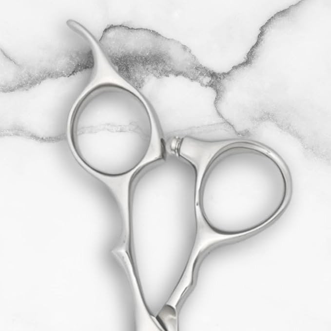 Set of Professional Hair Cutting Scissors in VG-10 Japan Steel - Includes Hair Cutting Scissors, Thinning Shears and Leather Case (7.0 Inch)