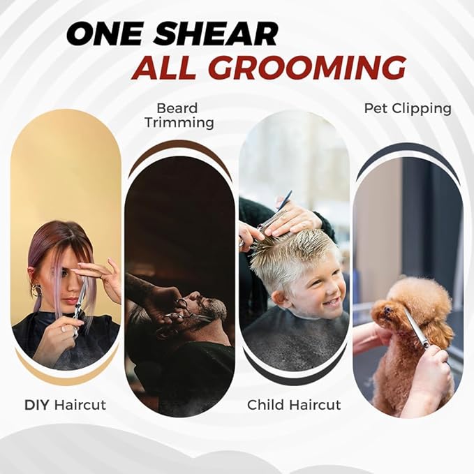 SWAP Professional Hair Cutting Scissors - SUS 440C Barber Shears, Profesional Shears for Hair Cutting (S2, 6 '' Hair Cutting Scissors)