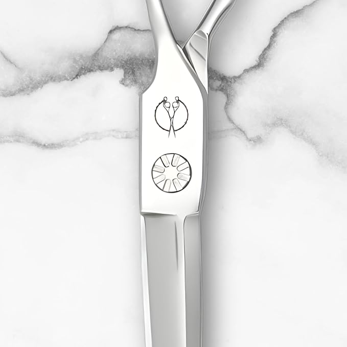 Set of Professional Hair Cutting Scissors in VG-10 Japan Steel - Includes Hair Cutting Scissors, Thinning Shears and Leather Case (7.0 Inch)