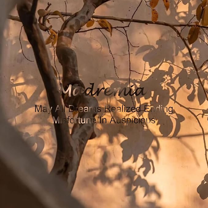 Travel Dual Voltage Blow Hair Dryer Brush 4-IN-1 Portable Mini Hot Air Dryer Straightener & Curler Brush, Titanium Round Blowout Styler Volumizer Tools, 110/240V US/EU/UK Plug for International Travel