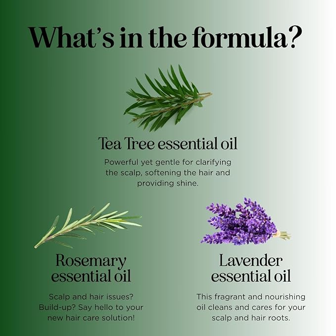 Tea Tree Shampoo and Conditioner Set - Sulfate Free Clarifying Shampoo and Conditioner for Oily Hair & Scalp Care with Australian Tea Tree Oil - Complete Dry Scalp Treatment for Build Up (25 Fl Oz)