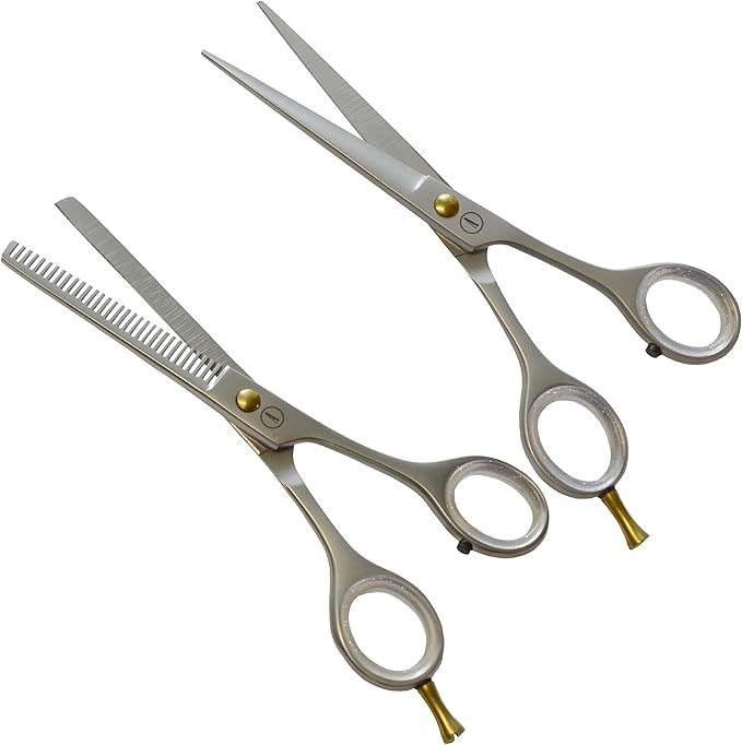 ANDUSTRIAL - Professional Hair Cutting And Thinning Scissors/Shears For Men/Women/Home/Salon - Premium High Carbon Steel Quality - Smooth And Sharp - 6 Inch, Silver