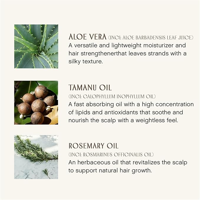 INNERSENSE Organic Beauty - Fragrance-Free Sweet Spirit Leave-In Conditioner | Detangling, Hydrating, Smoothing | Non-Toxic, Cruelty-Free, Clean Haircare (10 fl oz)