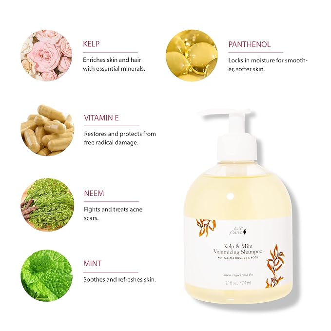 100% PURE Kelp & Mint Volumizing Shampoo Purifying Deep Detox - Hydrating Botanical Body Boost for Dry, Damaged Thinning Hair, Promotes Healthy Growth for Women & Men - Sulfate Free - 16 Fl Oz
