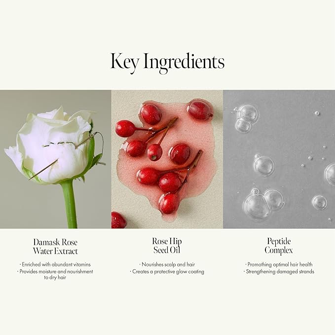 ANILLO Rosy Night Repair Shampoo – Anti-Dandruff & Damage Repair with Damask Rose Water & Ceramide – Color Safe, Silicone & Sulfate Free (15.22 fl. Oz)