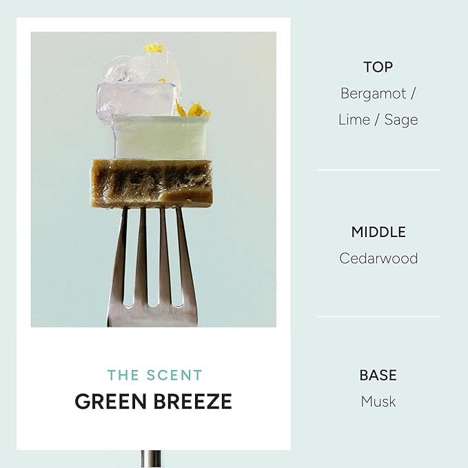 Rosemary Clarifying Scalp Shampoo – Korean Deep Cleansing & Cooling Hair Care with Menthol and CICA – Balances Oil, Refreshes Roots & Itchy Scalp – Paraben, Sulfate & Silicone Free – 16.9 fl oz.