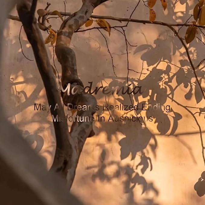 Travel Dual Voltage Blow Hair Dryer Brush 4-IN-1 Portable Mini Hot Air Dryer Straightener & Curler Brush, Titanium 2-Inch Blowout Styler Volumizer Tool, 110/240V US/EU/UK Plug for International Travel