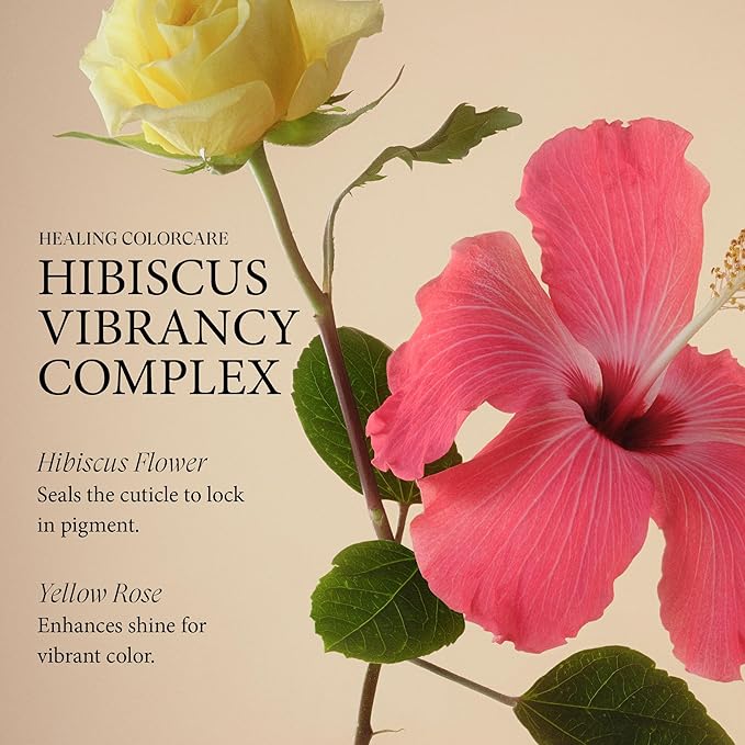 L'ANZA Healing Colorcare Shampoo, Color-Safe Repairing Cleanse for Dry, Damaged or Treated Hair, Anti-Fade Formula Smooths, Moisturizes, Adds Vibrance & Shine, Sulfate Free (33.8 Fl Oz)