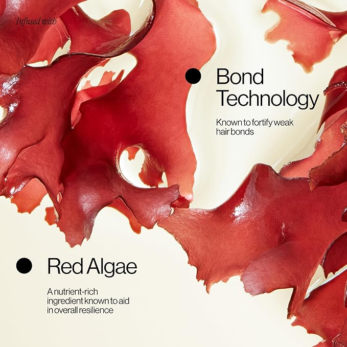 Eva NYC Repair Ritual Hair Care Travel Set - Shampoo, Conditioner & Leave In Treatment - Strengthen + Restore Dry, Damaged Hair with Bond Technology, Red Algae, Bamboo - Travel-Size Trio