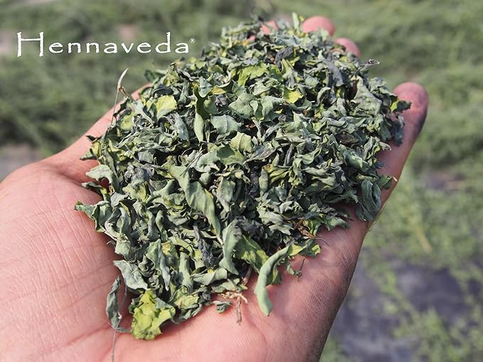 Hennaveda Hair Henna Powder & Indigo Powder, Hair Color Combo with Hair Dye Brush, Gloves and Shower Cap 200g, Henna with Geographical Indication (GI) tag "Sojat Mehndi"