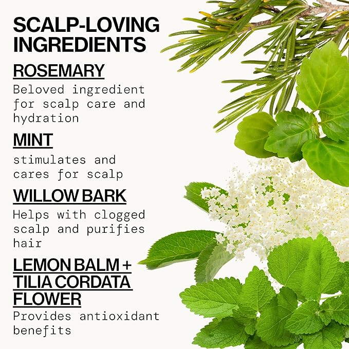 Pacifica Clarifying Shampoo – Rosemary Purify Invigorating Shampoo w/Soothing Mint for Detoxing Hair & Scalp Build-Up, Sulfate & Silicone Free - Vegan & Cruelty-Free Dermatologist Tested