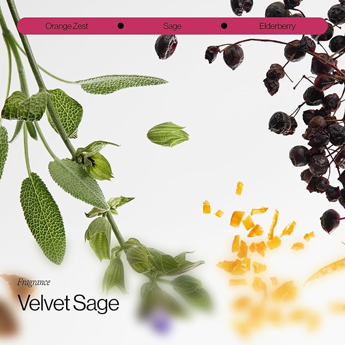 Eva NYC Repair Ritual Hair Care Travel Set - Shampoo, Conditioner & Leave In Treatment - Strengthen + Restore Dry, Damaged Hair with Bond Technology, Red Algae, Bamboo - Travel-Size Trio