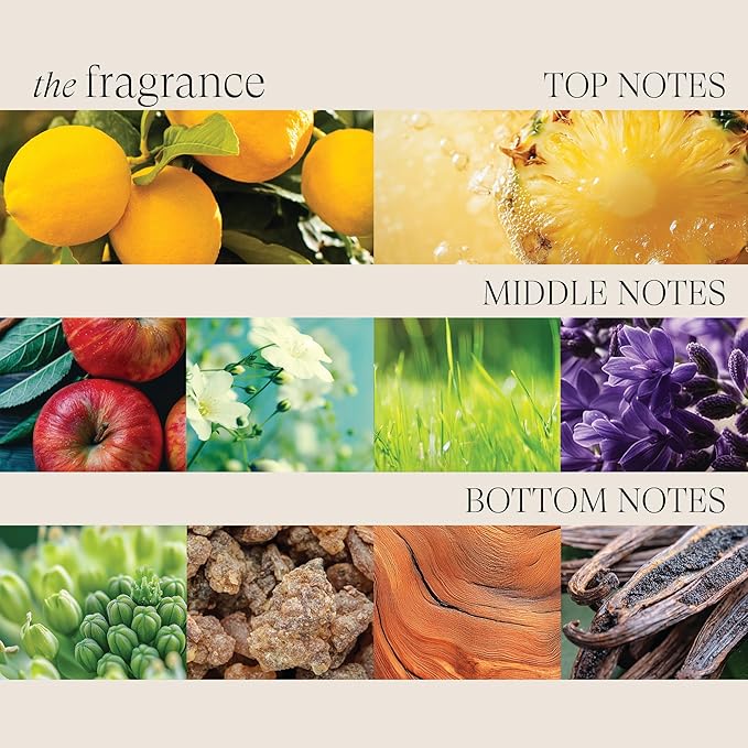 L'ANZA Healing Colorcare Shampoo, Color-Safe Repairing Cleanse for Dry, Damaged or Treated Hair, Anti-Fade Formula Smooths, Moisturizes, Adds Vibrance & Shine, Sulfate Free (33.8 Fl Oz)